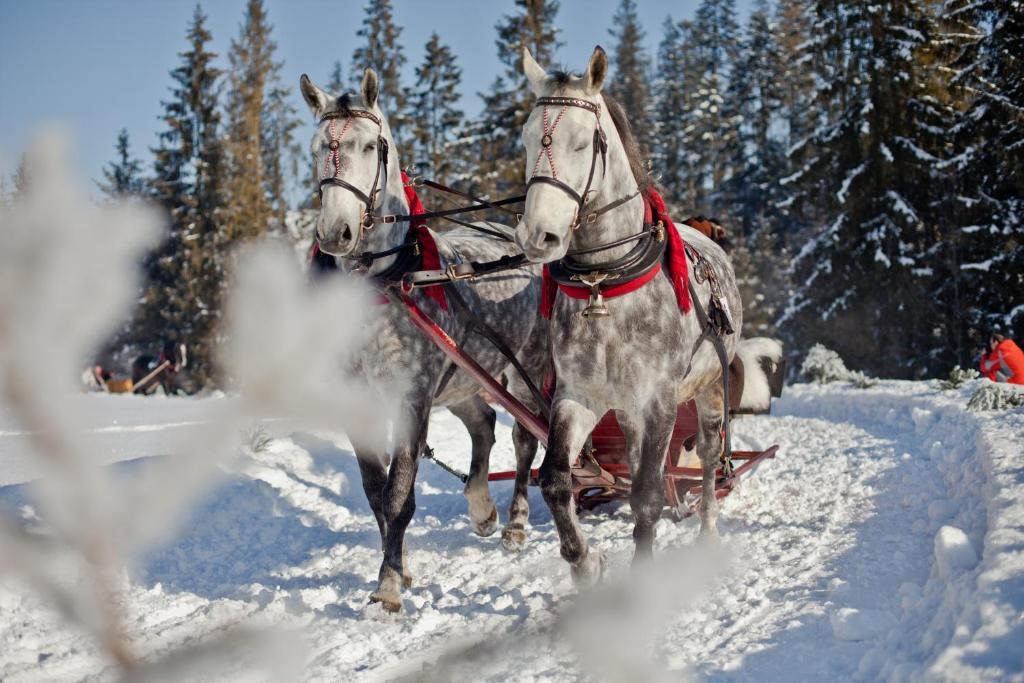 Hotel Zawrat - Blisko Natury เบียลกาตัทร์ชันสกา ภายนอก รูปภาพ